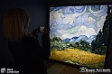 VBS_8050 - Van_Gogh_experience